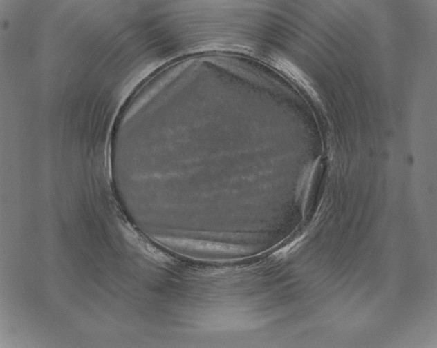 X0000074040892200609111736