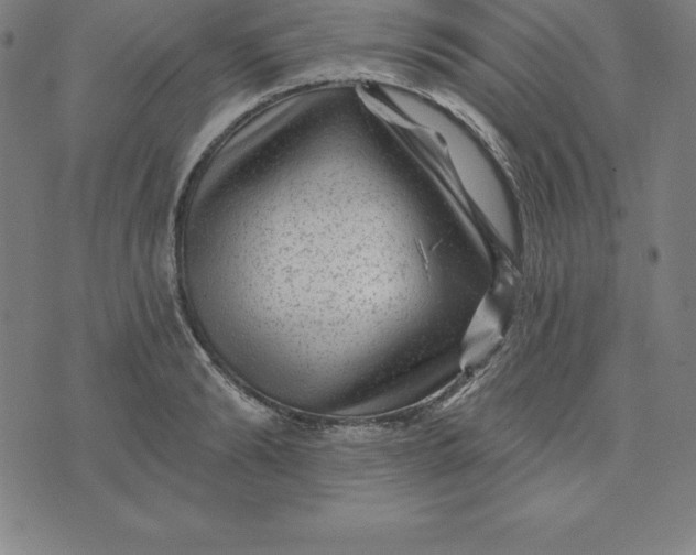 X0000074040894200609111736