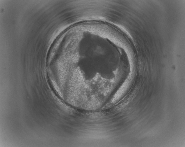 X0000074040895200609111736