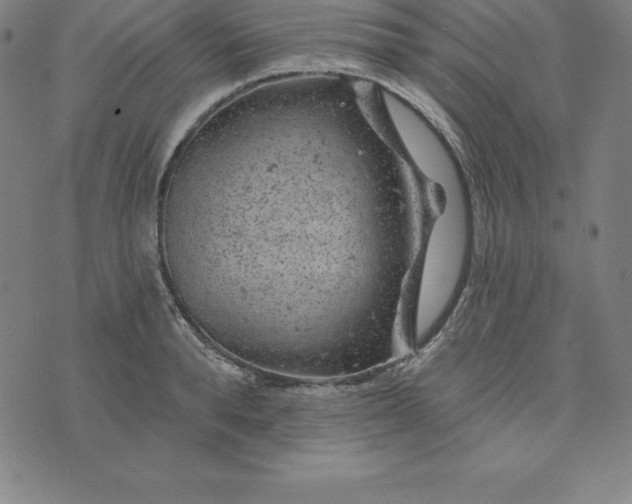 X0000074040896200609111736