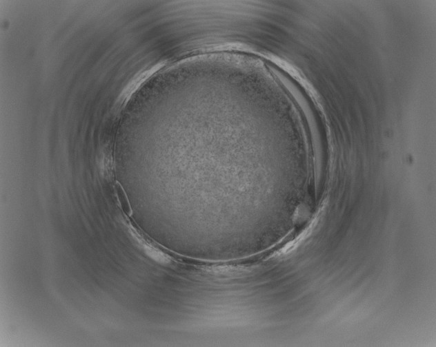 X0000074040897200609111736