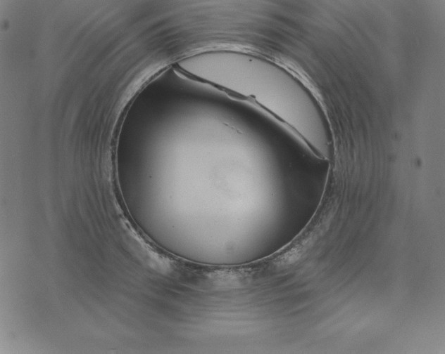 X0000074040898200609111736