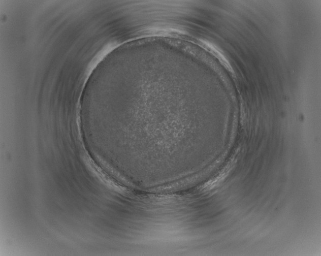 X0000074040899200609111736