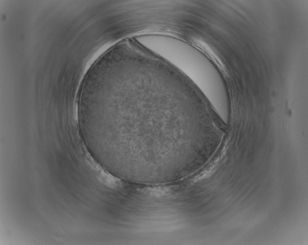 X0000074040900200609111736