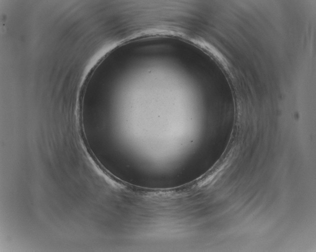 X0000074040902200609111736