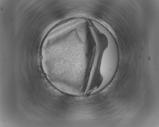 X0000074040904200609111736