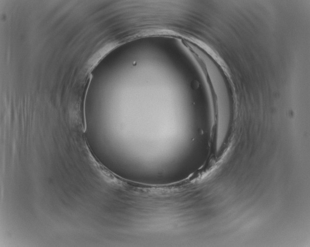 X0000074040905200609111736