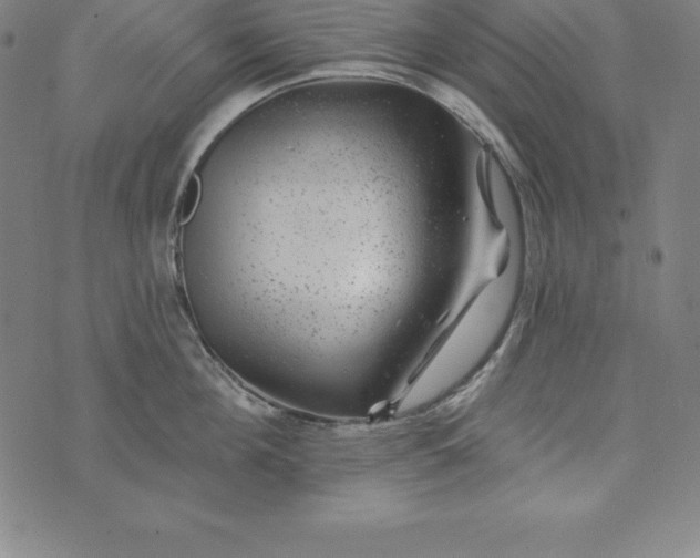 X0000074040908200609111736