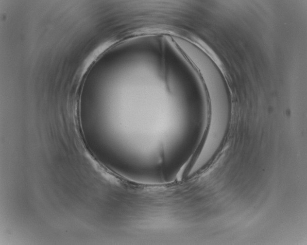 X0000074040909200609111736