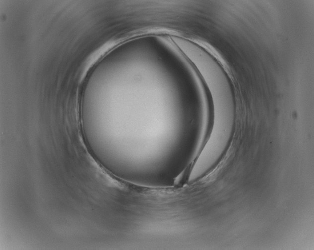 X0000074040910200609111736