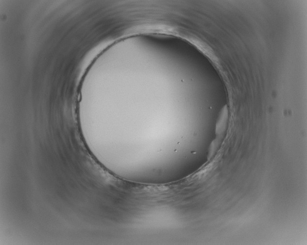 X0000074040912200609111736