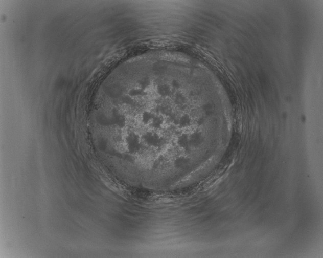 X0000074040913200609111735