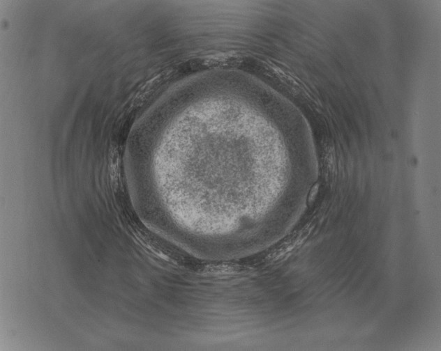 X0000074040914200609111735