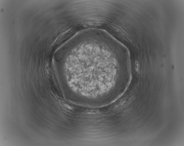 X0000074040915200609111735