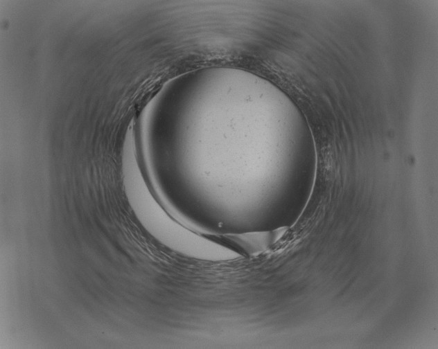 X0000074040916200609111735