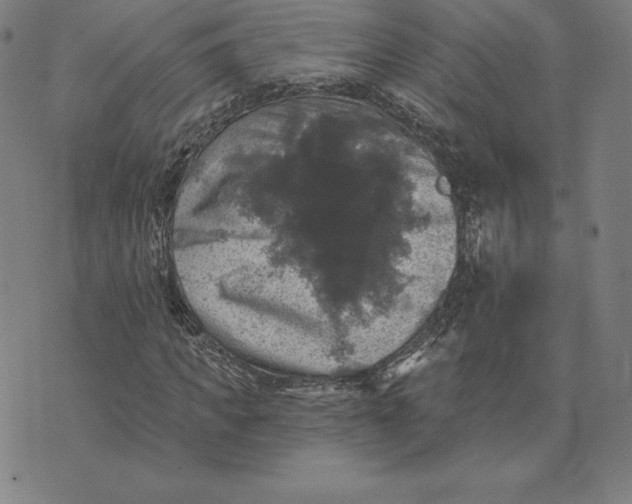 X0000074040917200609111735