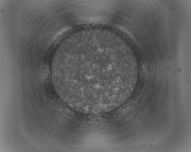 X0000074040918200609111735