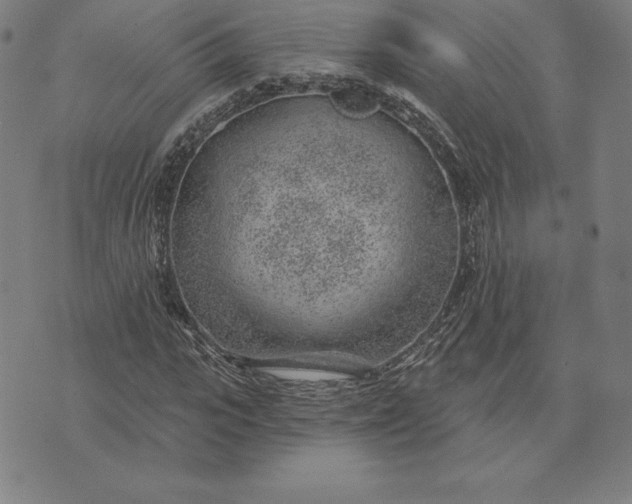 X0000074040919200609111735