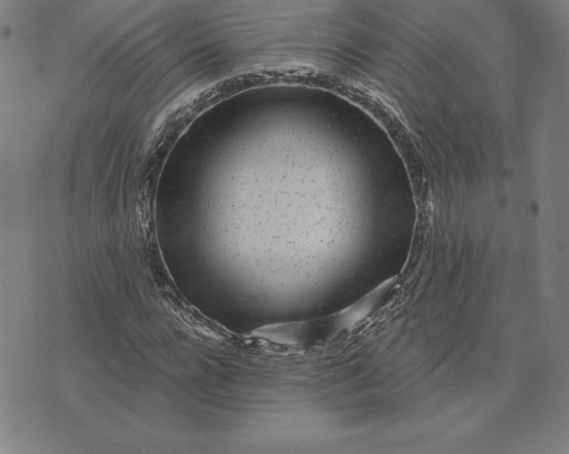 X0000074040920200609111735