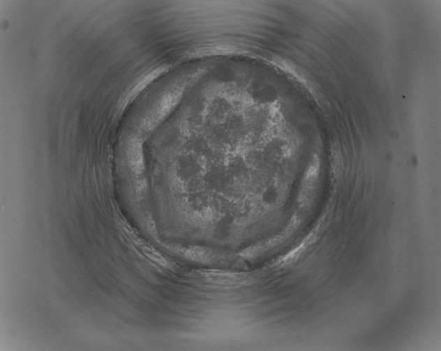 X0000074040921200609111735