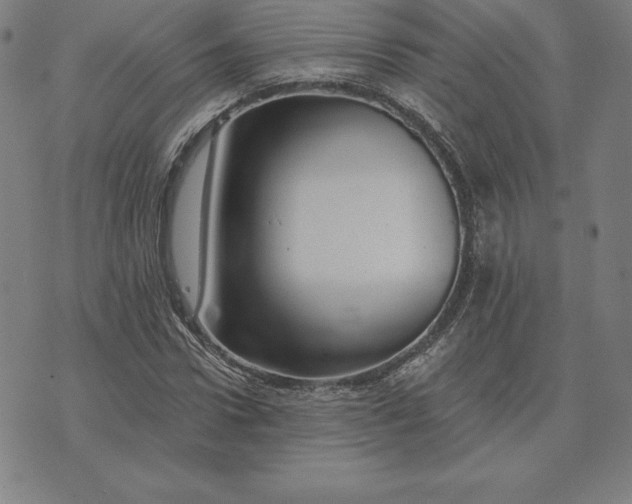 X0000074040922200609111735