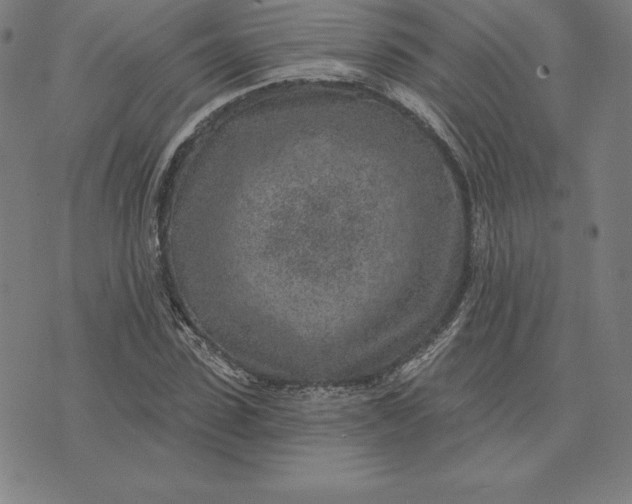 X0000074040923200609111735