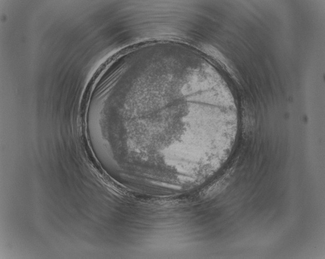 X0000074040924200609111735