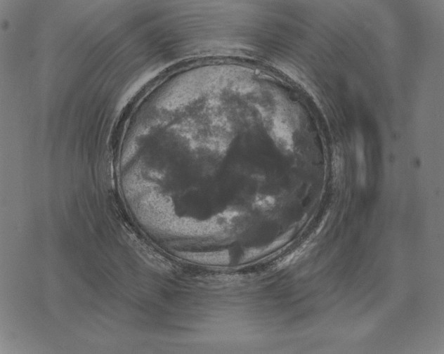 X0000074040925200609111735