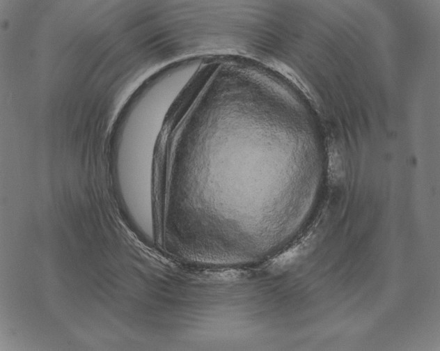 X0000074040926200609111735