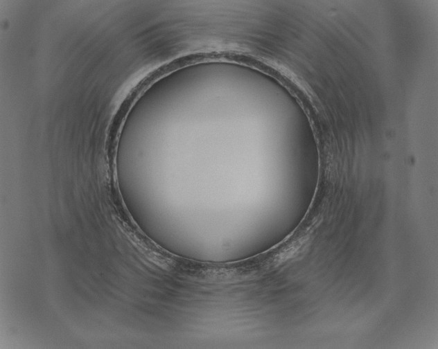 X0000074040927200609111735