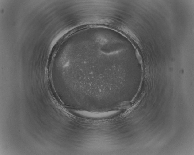 X0000074040928200609111735