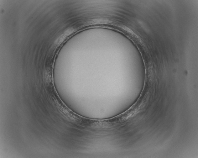 X0000074040929200609111735