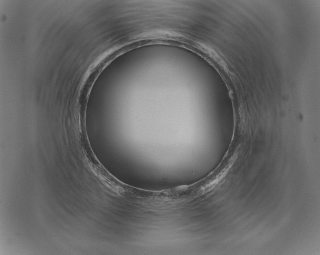 X0000074040931200609111735