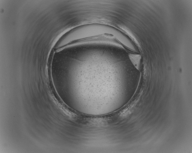 X0000074040932200609111735