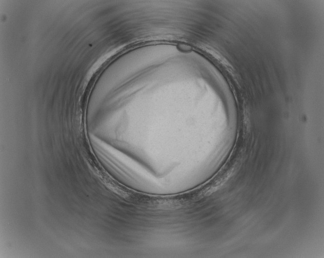 X0000074040933200609111735