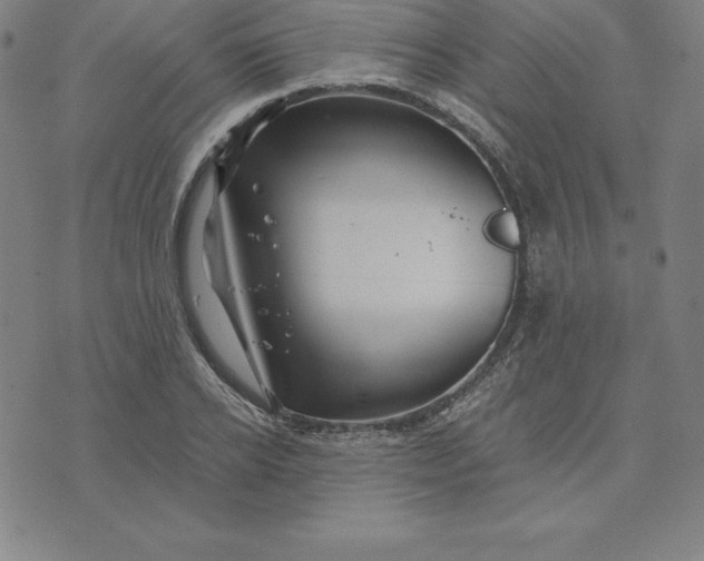 X0000074040934200609111735