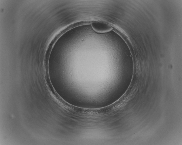 X0000074040935200609111735