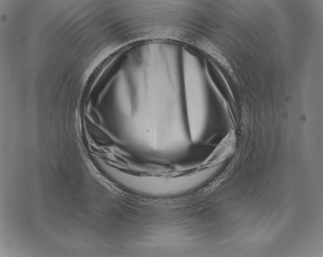 X0000074040936200609111735