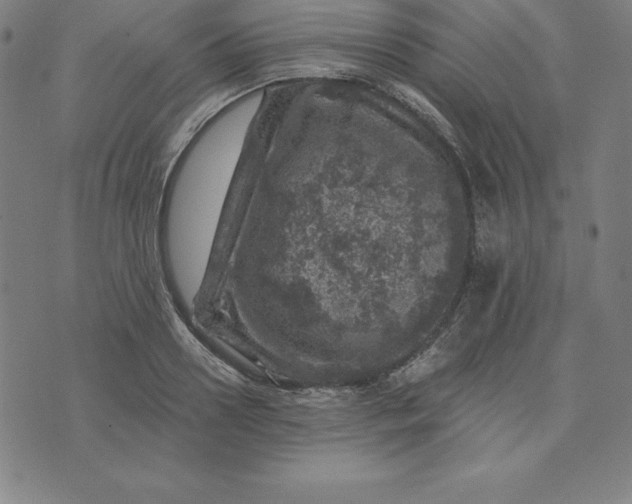 X0000074040938200609111735