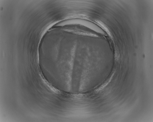 X0000074040940200609111735