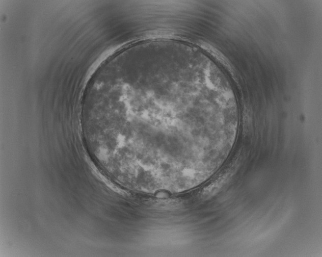 X0000074040941200609111735