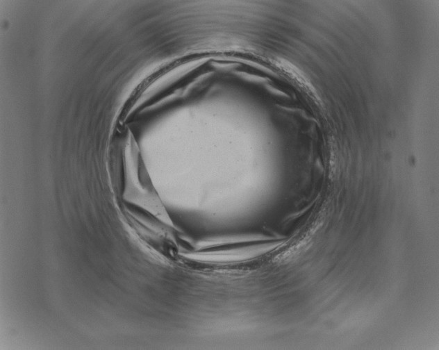 X0000074040942200609111735