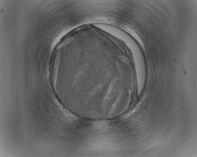 X0000074040944200609111735