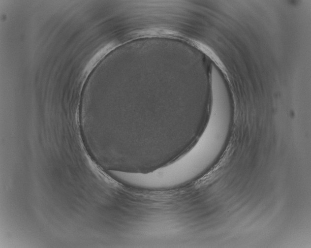 X0000074040946200609111735