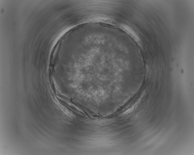 X0000074040948200609111736