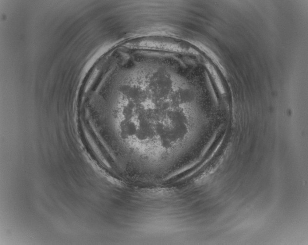 X0000074040949200609111736