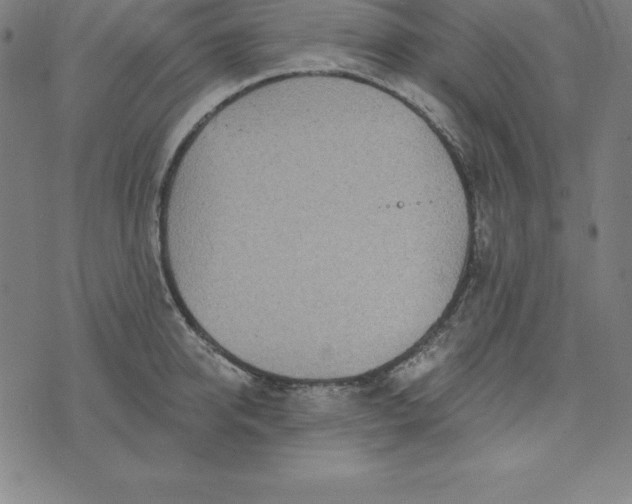 X0000074040950200609111736