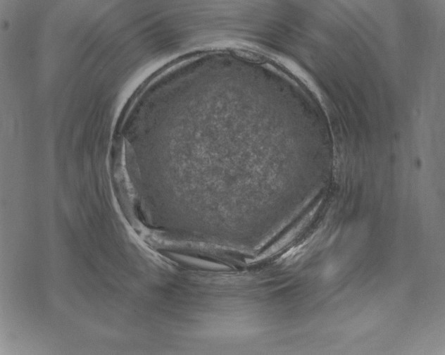 X0000074040951200609111736