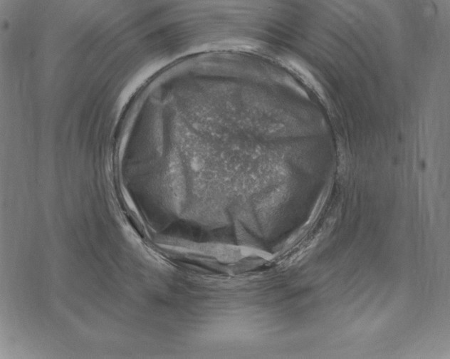 X0000074040952200609111736