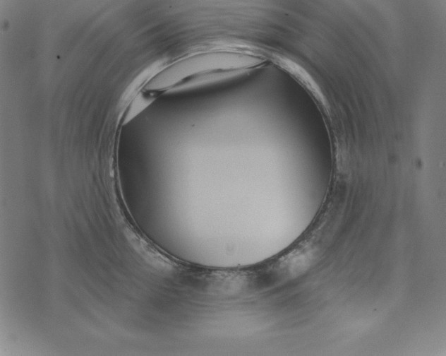 X0000074040954200609111736